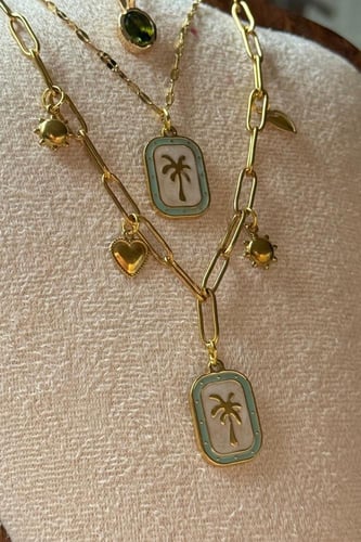 تشوكر النخلة .