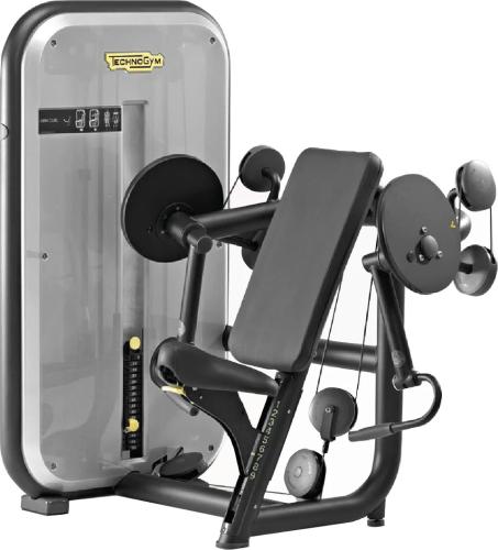 ARM CURL - Standard (60kg Weight Stack)
