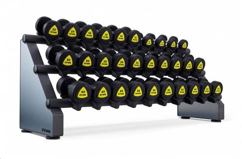 EX 15 Pair Horizontal Dumbbell Rack