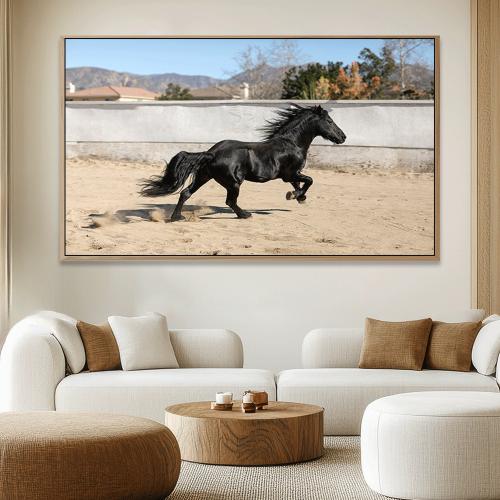 لوحات خيل تصميم مودرن