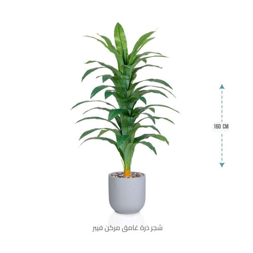 شجرة نبات الذرة (دراسينا) الاصطناعية بمركن فيبر أس...