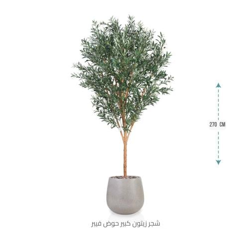 شجرة زيتون اصطناعية كبيرة بمركن فيبر أسطواني
