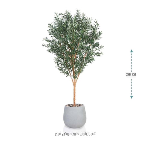 شجرة زيتون اصطناعية كبيرة بمركن فيبر أسطواني