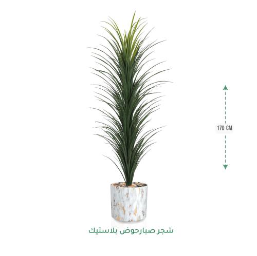 شجرة صبار صناعية ( ارتفاع 170 سم ) حوض بلاستيك