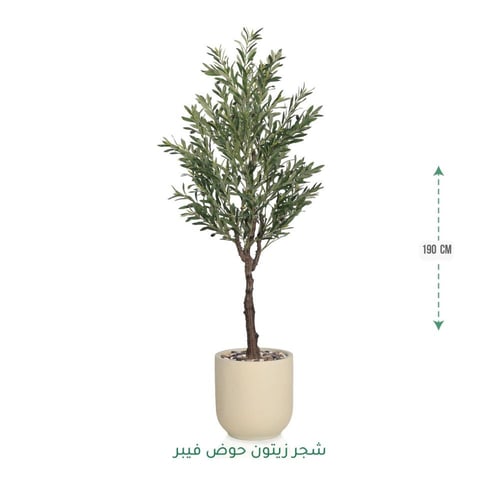 شجرة زيتون صناعية ( ارتفاع 190 سم ) حوض فيبر