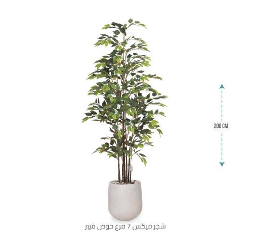 شجرة الفيكس الجذابة بمركن فيبر