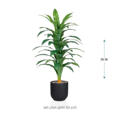 شجرة نبات الذرة (دراسينا) الاصطناعية بمركن فيبر أس...