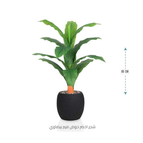 شجرة ورق موز حوض فيبر بيضوي