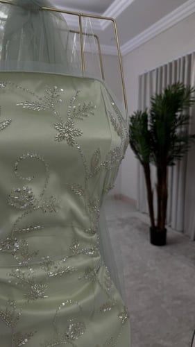 فستان حليمه التفاحي