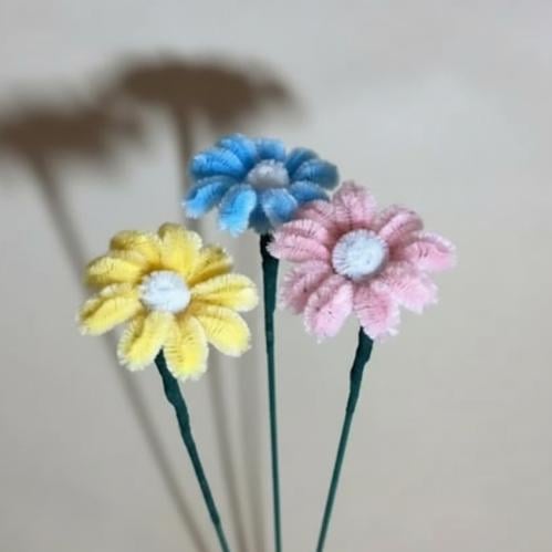زهرة الاقحوان (Daisy)