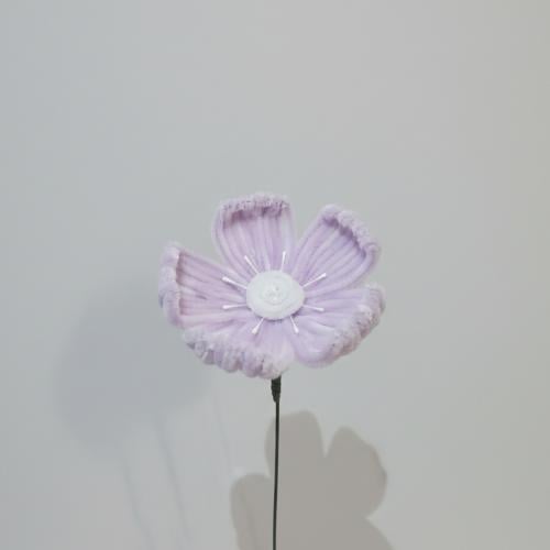 الخشخاش (Poppy)