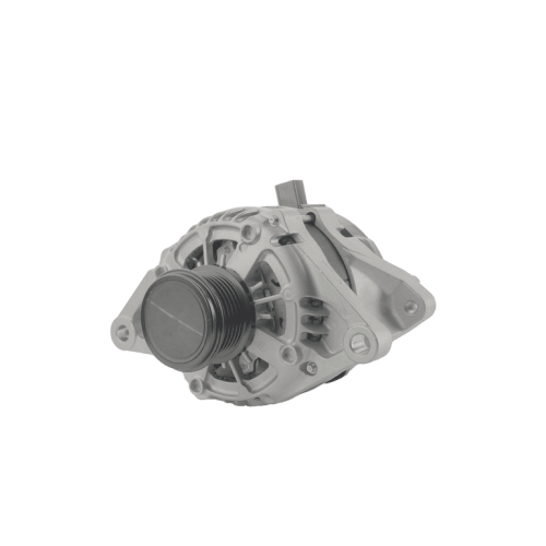 دينمو افالون 2018-2019