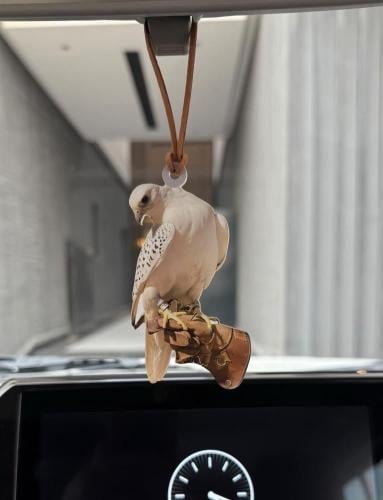 تعليقة اكريلك برسمة حسب الطلب