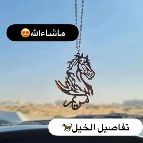 تعليقة سيارة الخيل حسب الطلب