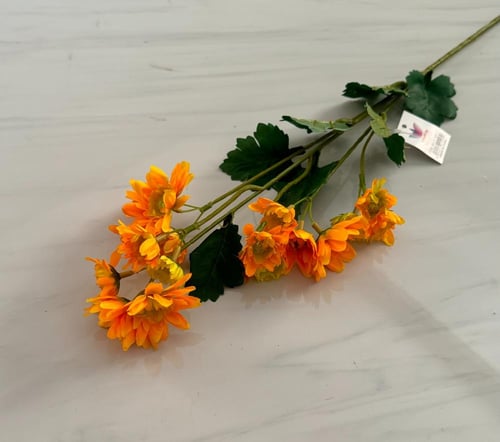 غصن ورد ( 11 )