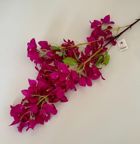 غصن ورد رقم ( 25 ) جهنمية