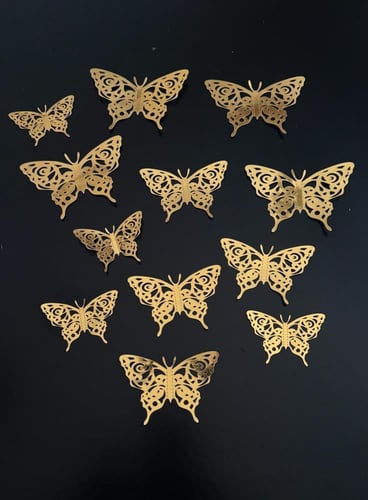 فراشات متنوعة رقم ( 22 )