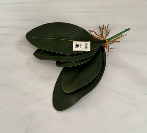 ربطة خضار رقم ( 21 ) خضار اوركيد