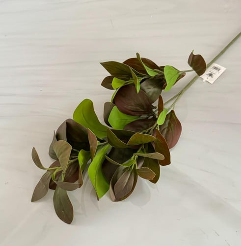 غصن خضار رقم ( 9 ) هاي كوالتي