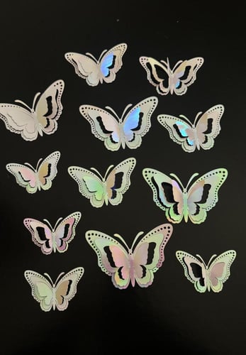 فراشات متنوعة رقم ( 22 )