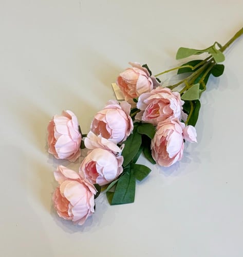 غصن ورد رقم ( 20 )