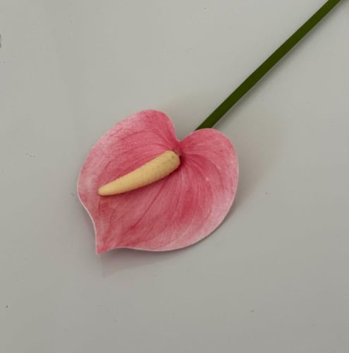 غصن ورد ( 32 )