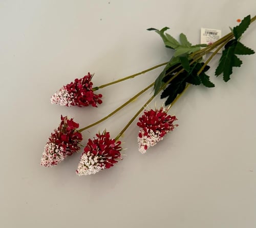 غصن ورد ( 34 )