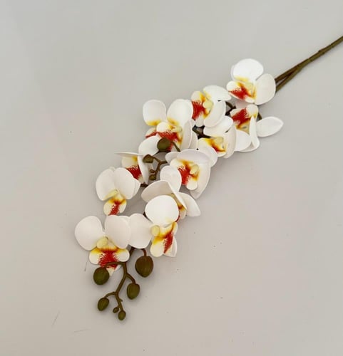 غصن ورد ( 52 )