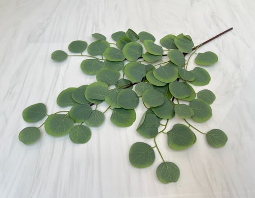 غصن ورد رقم ( 1 )