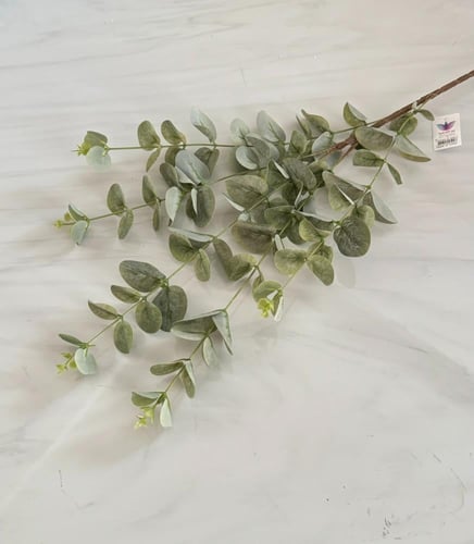 غصن خضار رقم ( 5 )