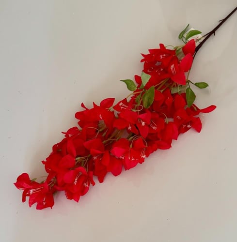 غصن ورد رقم ( 25 ) جهنمية