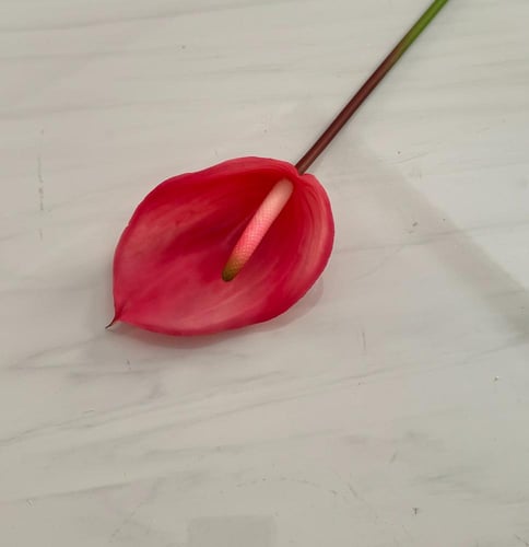 غصن ورد رقم ( 56 ) انثوريوم ملمس طبيعي