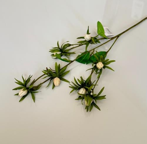 غصن خضار ( 29 )