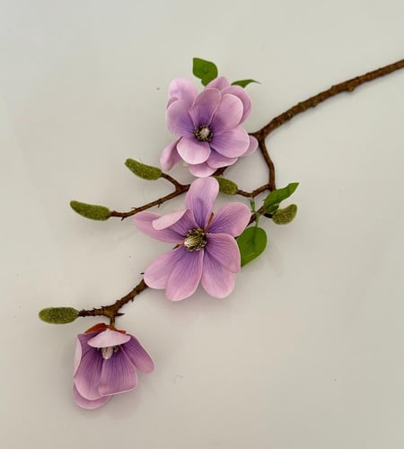 غصن ورد ( 73 )