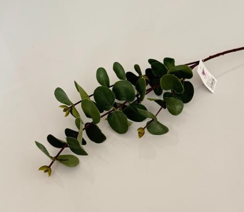 غصن خضار ( 30 )