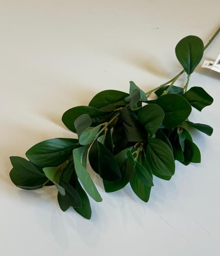 غصن خضار رقم ( 9 ) هاي كوالتي