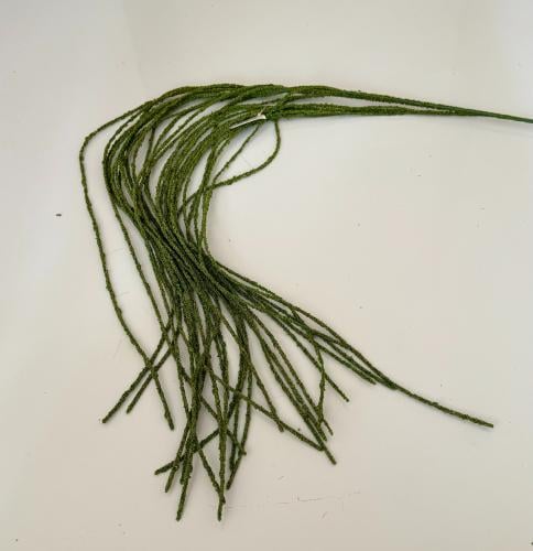 غصن ورد ( 40 )