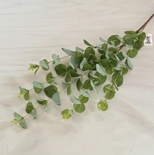 غصن خضار رقم ( 5 )