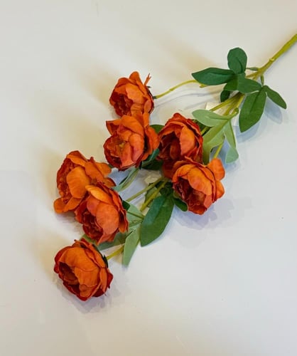 غصن ورد رقم ( 20 )