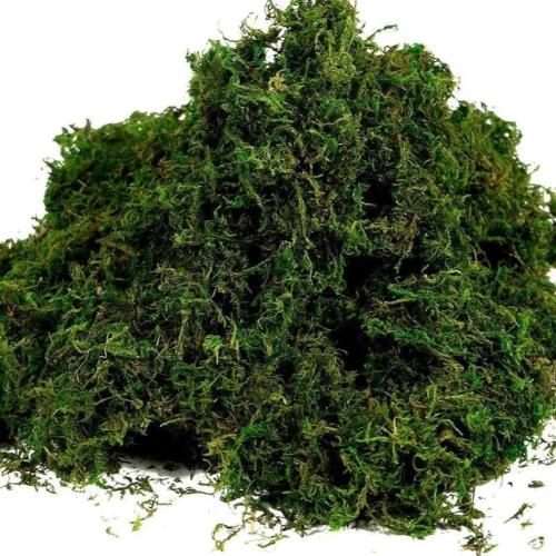 اكسسوار تنسيق ( 11 ) عشب مجفف