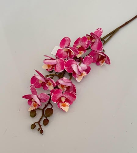 غصن ورد ( 52 )