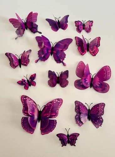 فراشات طبقتين رقم ( 20 )