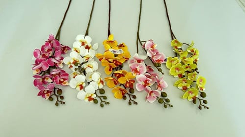 غصن ورد ( 52 )