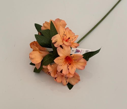 غصن ورد رقم ( 10 )