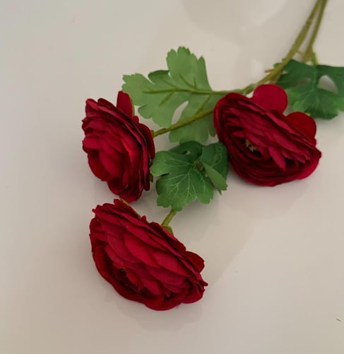 غصن ورد ( 69 )