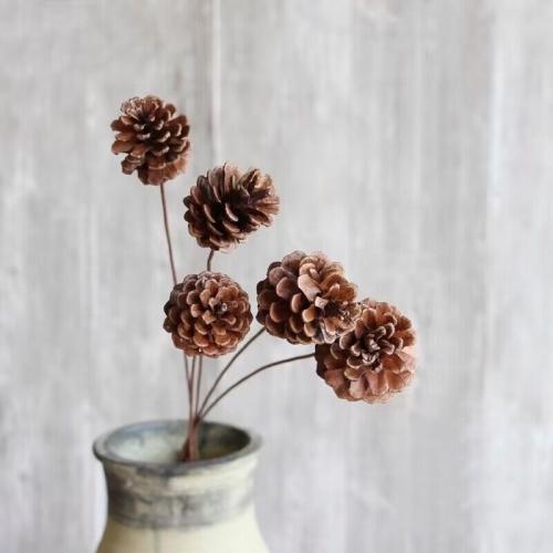 غصن مجفف رقم ( 5 )