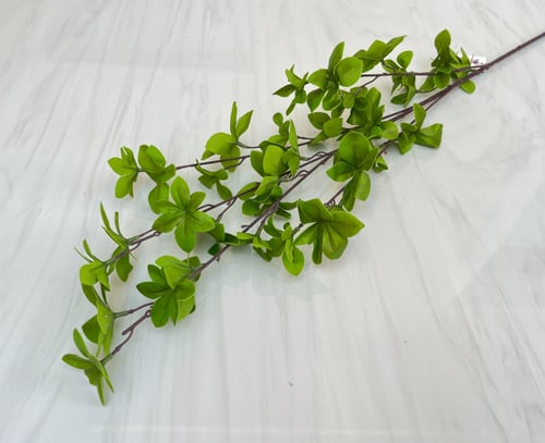 غصن ورد رقم ( 55 )