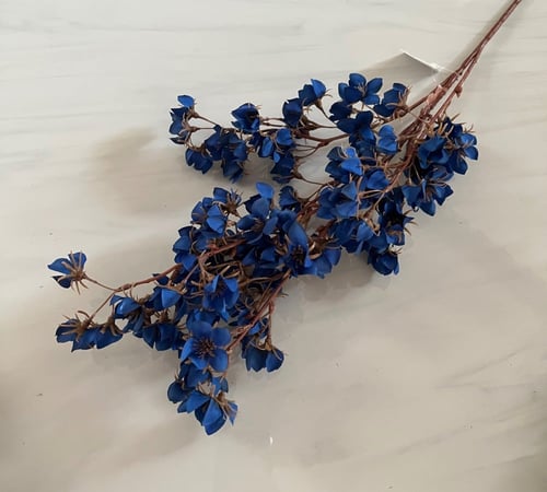 غصن ورد ( 21 )