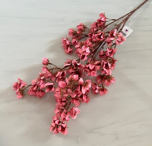 غصن ورد ( 21 )