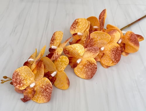 غصن ورد رقم ( 13 ) اوركيد